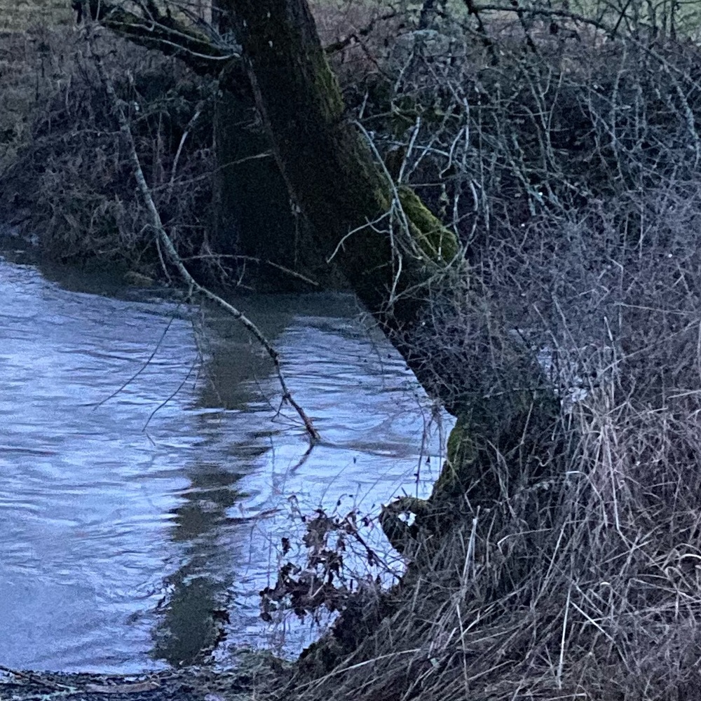 Meet your Posher, Andy